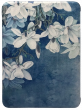 Обложка ReaderONE Amazon Kindle PaperWhite 2024 Flower Обложка ReaderONE Amazon Kindle PaperWhite 2024 Flower