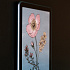 Amazon Kindle Colorsoft 16Gb