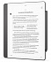 Стилус Amazon Kindle Scribe 2024 Premium Pen Grey